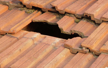 roof repair Lower Trebullett, Cornwall