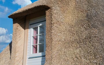 Lower Trebullett thatch roof disadvantages